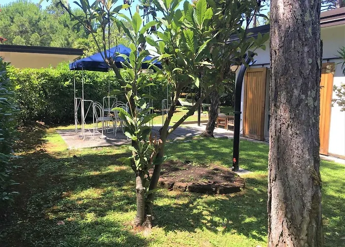 In 43486 Daire Bibione